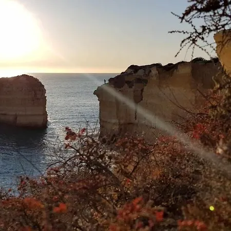 Sea View Апартаменти *
